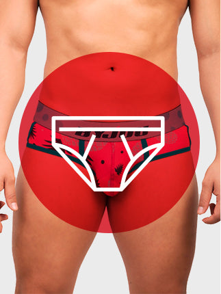 Briefs